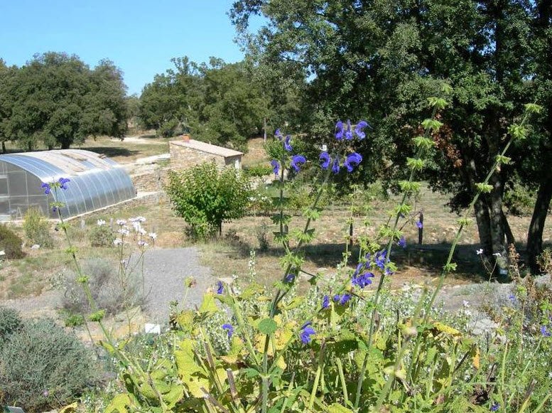 Jardins ethnobotaniques de la Gardie, Rousson, France, France
